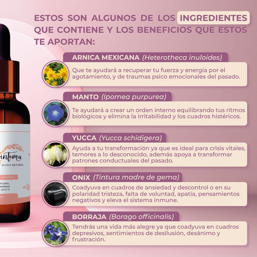 Ingredientes MenoSíntoma